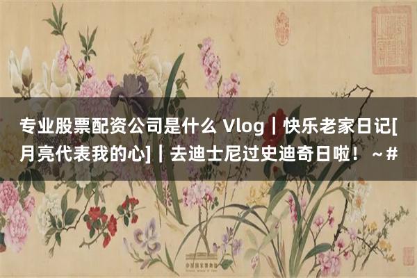 专业股票配资公司是什么 Vlog｜快乐老家日记[月亮代表我的心]｜去迪士尼过史迪奇日啦！～#