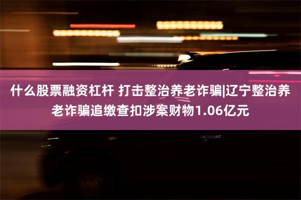 什么股票融资杠杆 打击整治养老诈骗|辽宁整治养老诈骗追缴查扣涉案财物1.06亿元