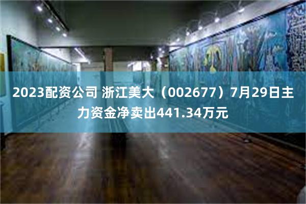 2023配资公司 浙江美大（002677）7月29日主力资金净卖出441.34万元