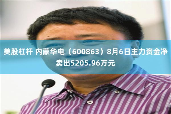 美股杠杆 内蒙华电（600863）8月6日主力资金净卖出5205.96万元