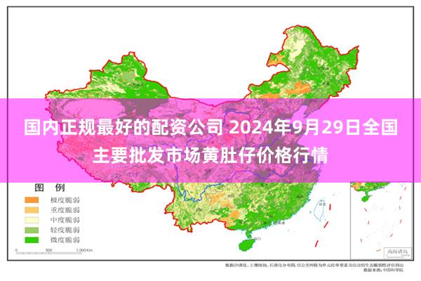 国内正规最好的配资公司 2024年9月29日全国主要批发市场黄肚仔价格行情