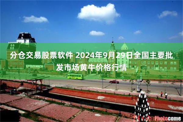 分仓交易股票软件 2024年9月29日全国主要批发市场黄牛价格行情