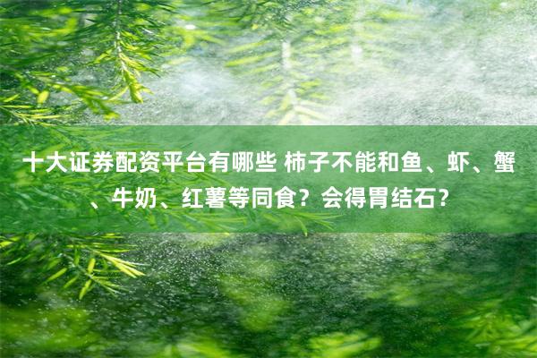 十大证券配资平台有哪些 柿子不能和鱼、虾、蟹、牛奶、红薯等同食？会得胃结石？