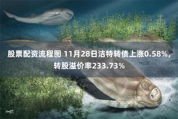 股票配资流程图 11月28日洁特转债上涨0.58%，转股溢价率233.73%