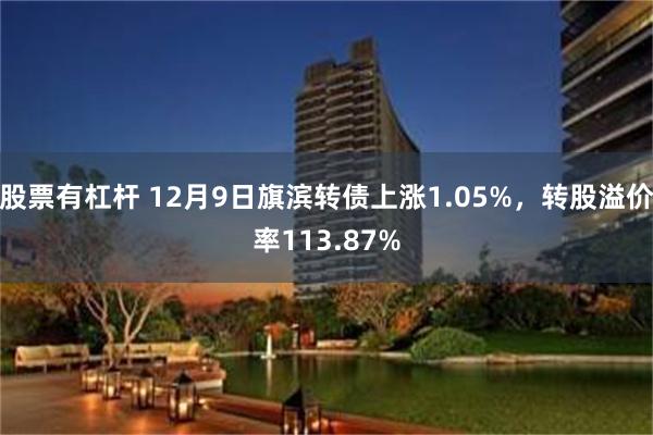 股票有杠杆 12月9日旗滨转债上涨1.05%，转股溢价率113.87%