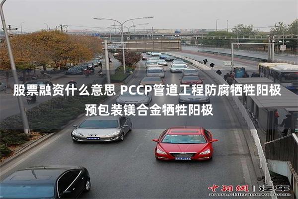 股票融资什么意思 PCCP管道工程防腐牺牲阳极 预包装镁合金牺牲阳极