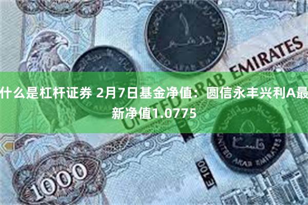 什么是杠杆证券 2月7日基金净值：圆信永丰兴利A最新净值1.0775